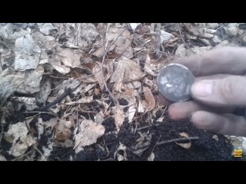 Видео: ВОТ ЭТО НАХОДКА ВОЗЛЕ УСАДЬБЫ!!! СЕРЕБРЯНЫЙ РУБЛЬ НИКОЛЯ ВТОРОГО! КАТУШКА Mars Goliaf