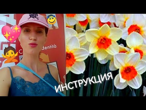 Видео: Обесценивание нарцисса. Токсичные фразы. Испортили настроение. Паранойя. Зависть Манипуляции нарцисс