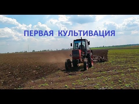 Видео: ПЕРВАЯ КУЛЬТИВАЦИЯ !!! ЮМЗ-6-КПС-4.2