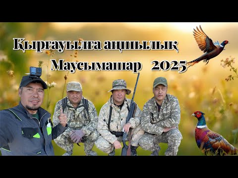 Видео: Қырғауылға аңшылық, маусымашар 2025ж. #охота#фазан#қырғауыл#2025