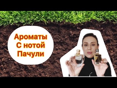 Видео: Топ ароматы с нотой Пачули 🌿🌱🌿🌱