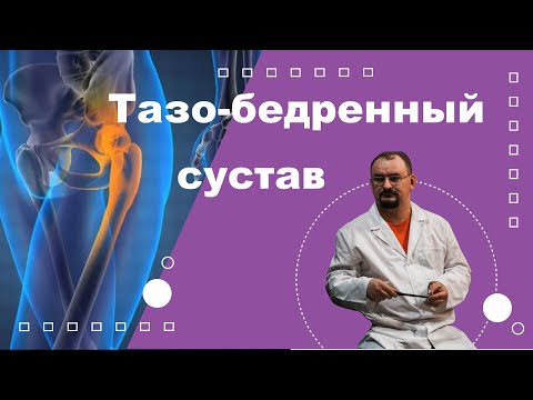Видео: Тазобедренный сустав
