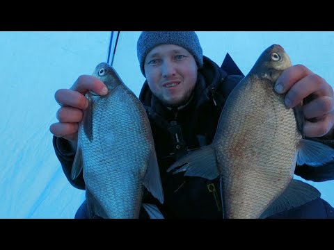 Видео: ЛЕЩ в Подмосковье 2021. Зимняя рыбалка с ночёвкой на Можайском водохранилище.Ловля леща в глухозимье