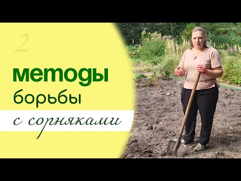 Видео: Как очистить ЗАРОСШИЙ цветник, способы борьбы с СОРНЯКАМИ