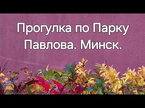 Видео: 14. Парк Павлова. 30.10.2025. Прогулка в обеденный перерыв. И красота, и свежий воздух, и движение. 