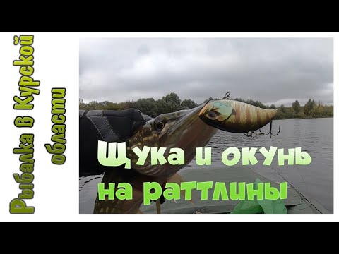Видео: Ловля щуки и окуня на раттлины осенью