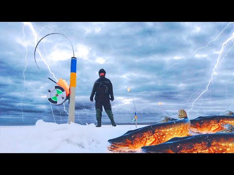 Видео: ОСТАВИЛИ ЖЕРЛИЦЫ на ЩУКУ на НОЧЬ на водохранилище. Зимняя рыбалка на жерлицы