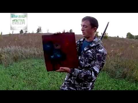 Видео: Пули Стрела, Азот, Монолит-32, Гуаланди и моя пуля "Шып", ОТСТРЕЛ