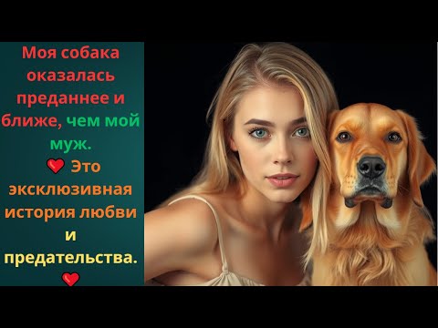 Видео: Почему моя собака оказалась надёжнее мужа — история, которую никто не ожидал