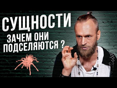 Видео: Как они выглядят и зачем подселяются? Астральные сущности, бесы, лярвы, подселенцы