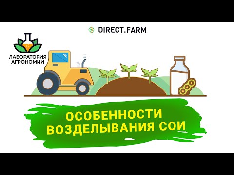 Видео: Соя - технология возделывания