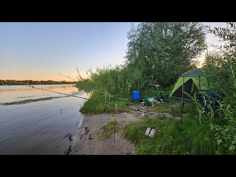 Видео: И сново река Ахтуба.  Жареная рыбка на природе. 