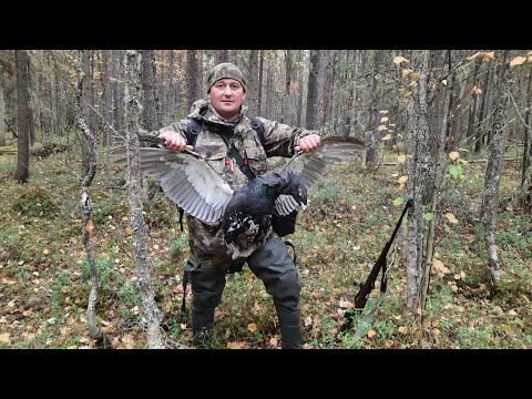 Видео: ОХОТА НА БОРОВУЮ ДИЧЬ С МЕЛКАШКОЙ. ОХОТА С 22 LR .