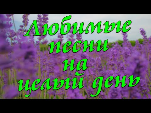 Видео: Заходи и Слушай! Здесь самые Любимые песни!