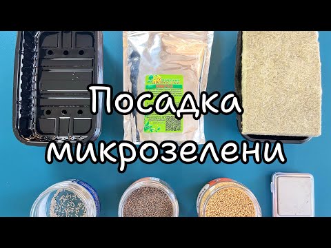 Видео: Посадка микрозелени. С чего начать. 