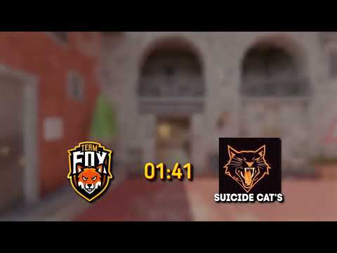 Видео: DNSURALCUP 2025 Групповой этап  | Team Fox VS Suicide Cat's (23:00) | ToBos VS Ghost Sq