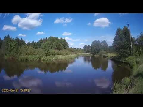 Видео: Рыбалка на реке Щара летом