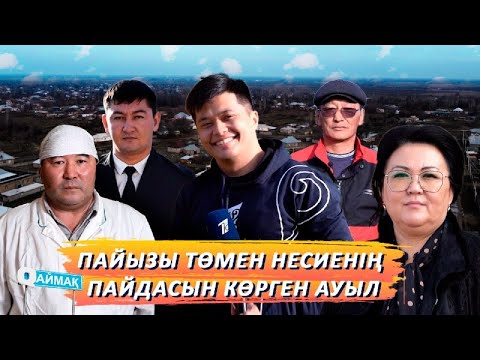 Видео: Qаймақ: Түймекент ауылы