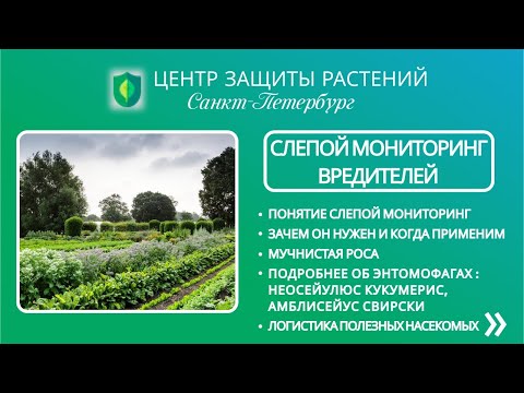 Видео: Слепой мониторинг вредителей