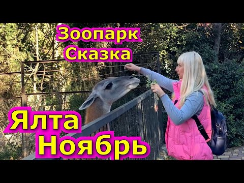 Видео: Крым в ноябре/ зоопарк Сказка в Ялте ( 2 часть)