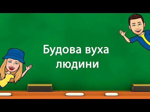 Видео: Будова вуха людини