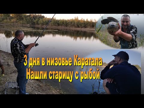 Видео: Рыбалка 3 дня в низовье Каратала, приключения продолжаются 1-2-3.09.22