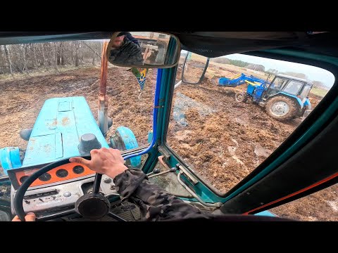Видео: Влетел в яму на МТЗ-80Л. Грузим и везем навоз на прицепе 2ПТС-4. МТЗ/Белорус/СССР
