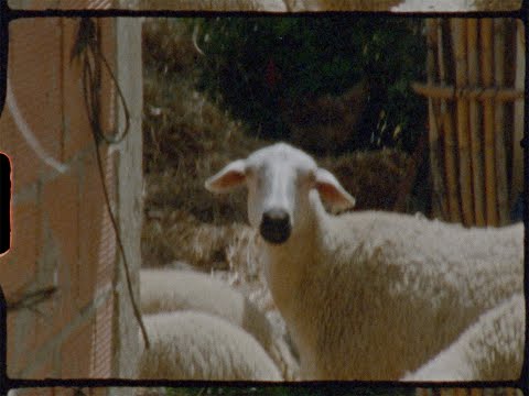 Видео: Zivert - Тебе | Mood video