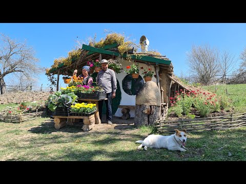 Видео: Посадка Новой Клумбы для Нашего Домика