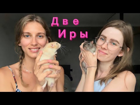 Видео: В гостях у Life Irchin и наоборот