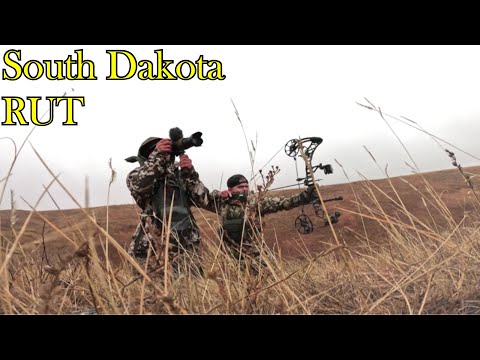 Видео: Выслеживание и охота | Крупные олени-самцы в Южной Дакоте!!