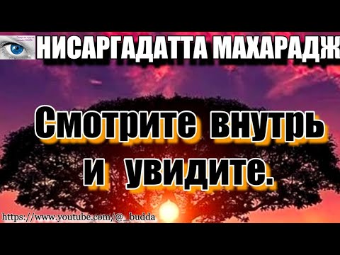 Видео: Не спрашивайте других, не позволяйте другим рассказывать вам о вас самих. Нисаргадатта Махарадж