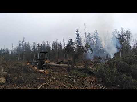 Видео: Безумная Валка и трелевка леса, лесозаготовка, лесоповал,,, telling the forest,,, Walz week...