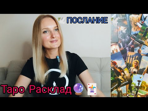 Видео: 🤍🕊ПОСЛАНИЕ 🕊🤍 #таро #tarot #информация #рекомендации #послание #гадание #события #судьба 