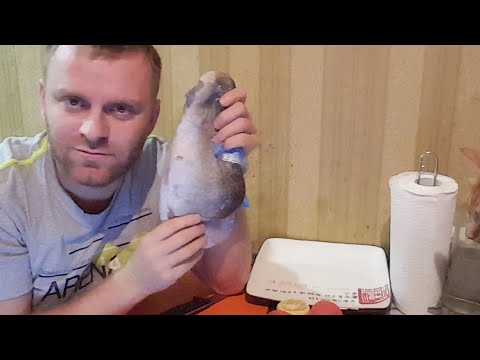Видео: Судак запеченный Обалденный рецепт