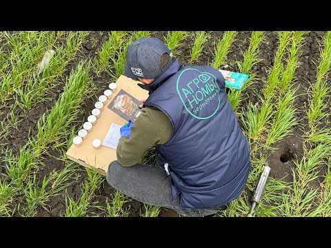 Видео: Анализ почвы. Азот, ППВ и тканевая диагностика.