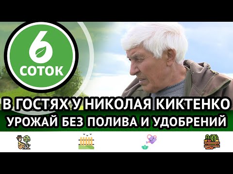 Видео: В гостях у Николая Киктенко. Урожай без полива и удобрений. 6 соток 10.10.2022