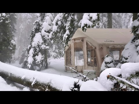 Видео: ВО ВРЕМЯ СИЛЬНОГО СНЕГА ПЕРЕД НАШЕЙ ПАЛАТКОЙ УПАЛО ДЕРЕВО!