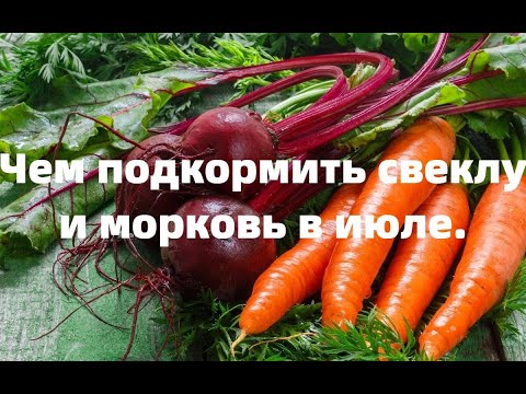 Видео: ЧЕМ ЛУЧШЕ ПОДКОРМИТЬ СВЕКЛУ И МОРКОВЬ ДЛЯ БОЛЬШОГО УРОЖАЯ.