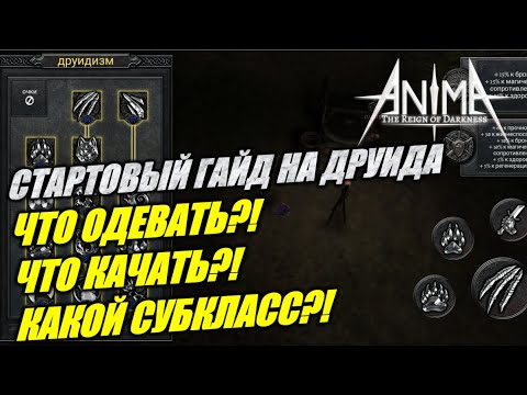 Видео: Гайд - как быстро и комфортно стартануть за ДРУИДА! Anima ARPG #AnimaDruid #AnimaДруид