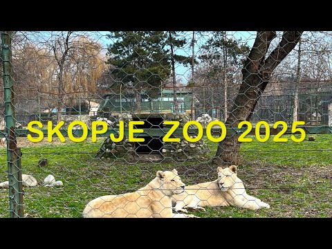 Видео: SKOPJE ZOO 2025 | СКОПЈЕ ЗОО 2025 | ZOOLOSKA GRADINA SKOPJE 2025