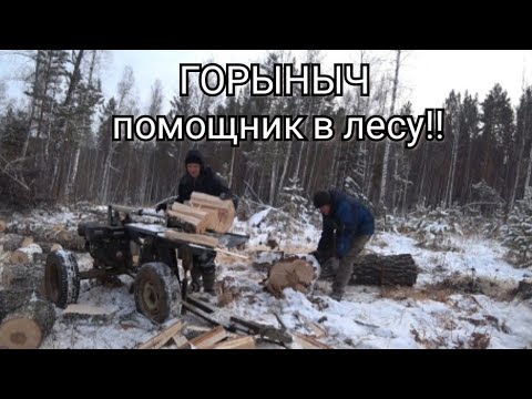 Видео: ЗАГОТОВКА ДРОВ!!! ДРОВОКОЛ ГОРЫНЫЧ БЕРЁМ С СОБОЙ В ЛЕС  КОЛОТЬ БЕРЁЗУ!!! НЕ ЗРЯ КУПИЛ ДРОВОКОЛ.