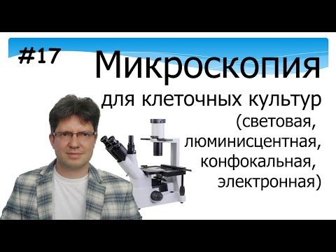 Видео: Микроскопия. Клеточные культуры. Световя. Флюорисцентная. Конфокальная. Электронная.