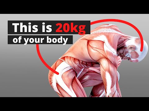 Видео: Понимание фасции – гибкость, сила и боль