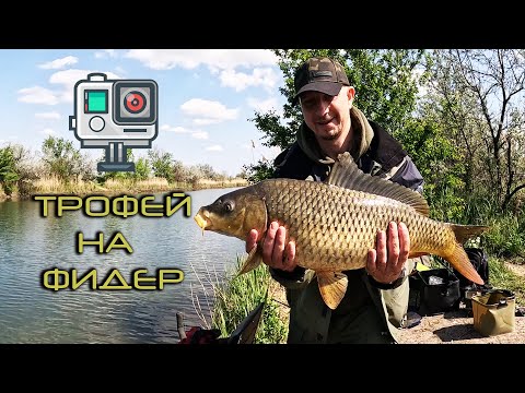 Видео: ТАКОГО Я НЕ ОЖИДАЛ!!! рыбалка на фидер!