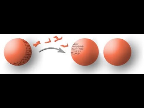 Видео: Парадокс Банаха-Тарского как из одного апельсина сделать два, a из горошины солнце.Велика сила божья