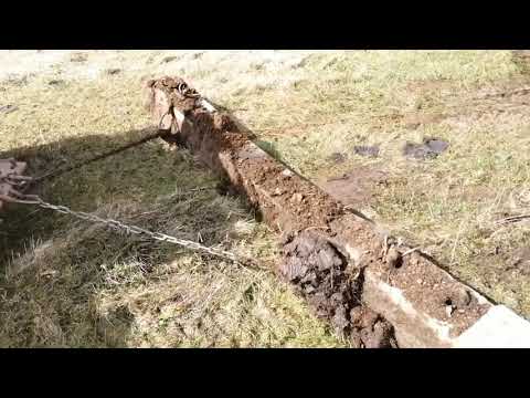 Видео: Термитные кочки на покосе как с ними бороться.