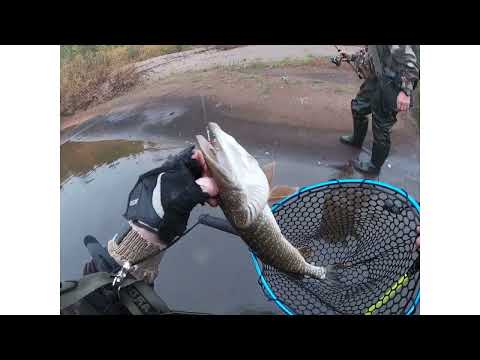 Видео: ОСЕННЯЯ РЫБАЛКА НА ХАРИУСА. РЕСПУБЛИКА КОМИ. СЕНТЯБРЬ 2023.