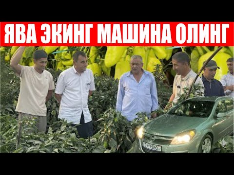 Видео: 12-Сентябрь куни Тожикистон Республикасида Ява F1 га ўтказилган семинардан лавхалар