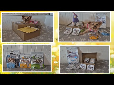 Видео: ветеринарные консервы Monge,  VetSolution Gastrointestinal